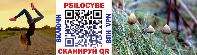 Галлюциногенные грибы мицелий  Кологрив 